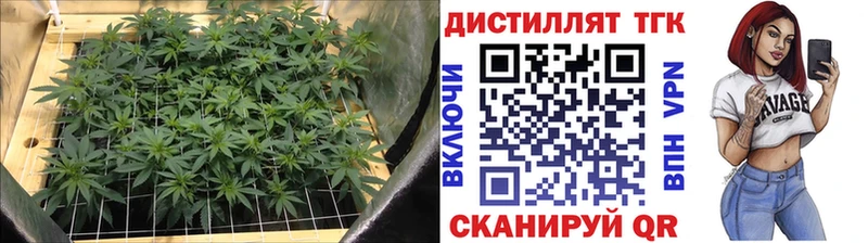 Дистиллят ТГК гашишное масло  shop официальный сайт  Полярные Зори  купить наркоту 