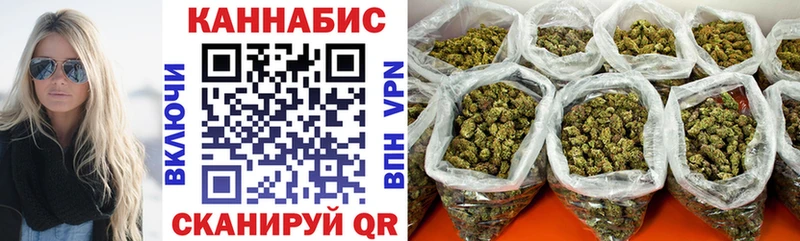 Бошки Шишки ГИДРОПОН  Полярные Зори 